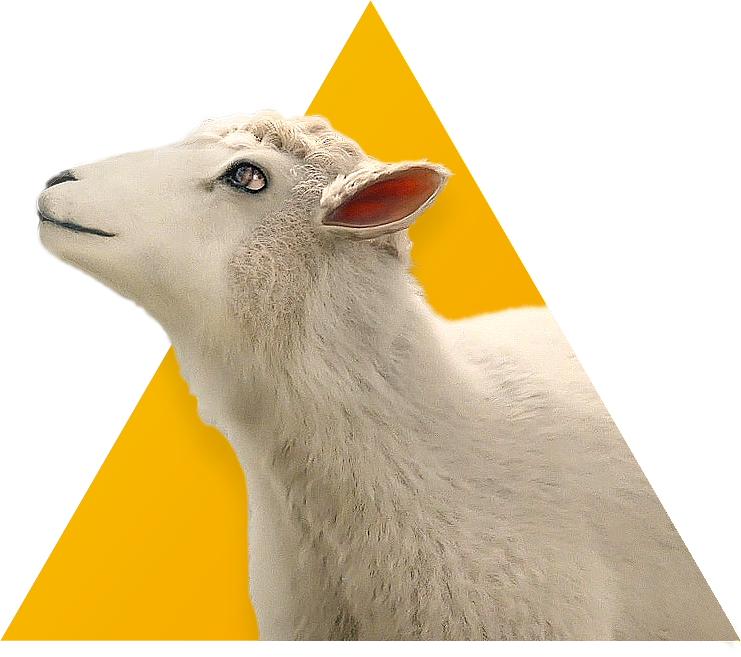 ray_triangle_left